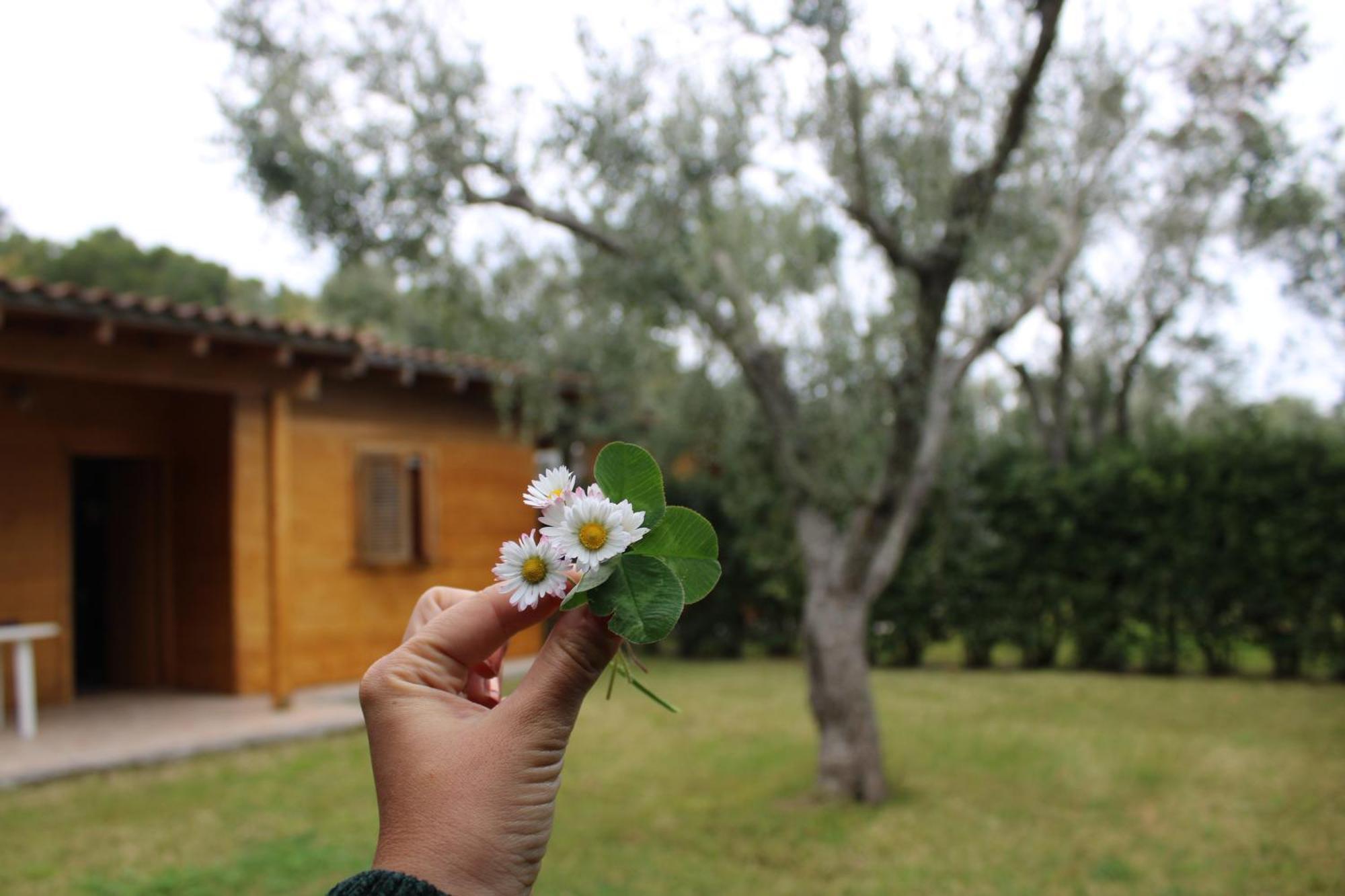 Lu Podere Alimini Exterior foto