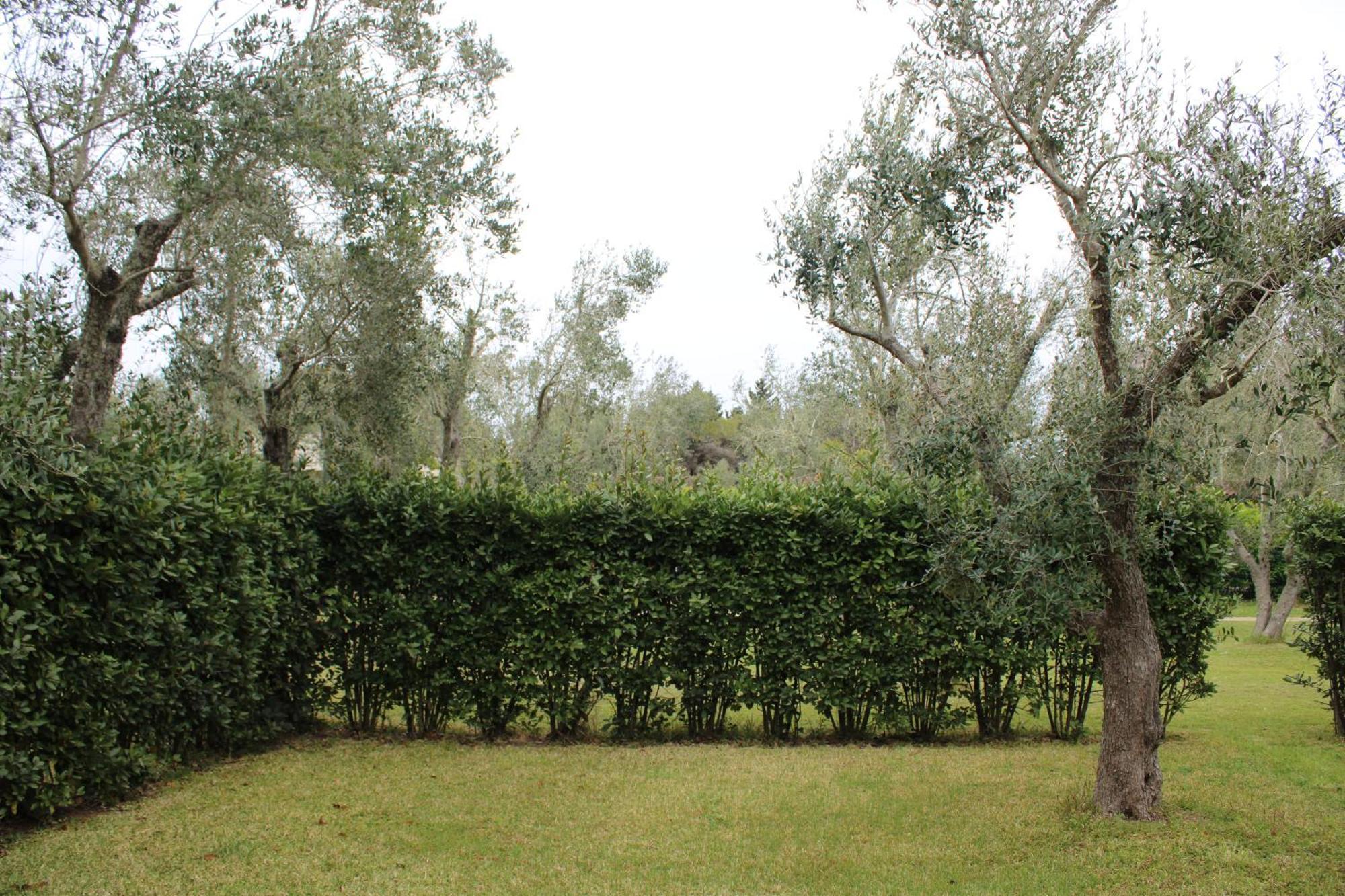 Lu Podere Alimini Exterior foto